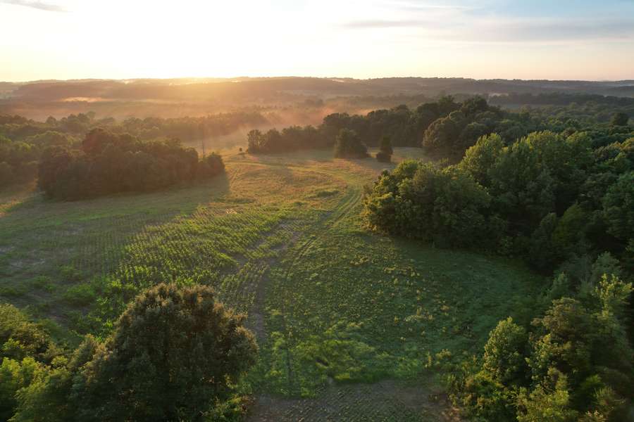 Trophy Whitetail Hunting, Tillable Ground & Minutes from Shawnee National Forest